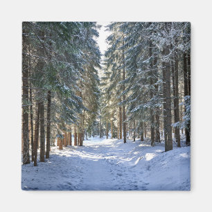 Eis und Schnee Tatra Mountains, Polen Magnet