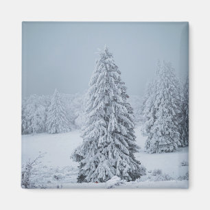 Eis und Schnee Wald, Schweizer Alpen Magnet