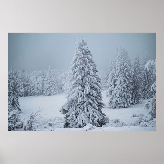 Eis und Schnee | Wald, Schweizer Alpen Poster (Vorne)