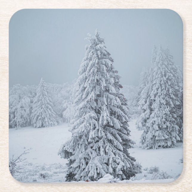Eis und Schnee | Wald, Schweizer Alpen Rechteckiger Pappuntersetzer (Vorderseite)