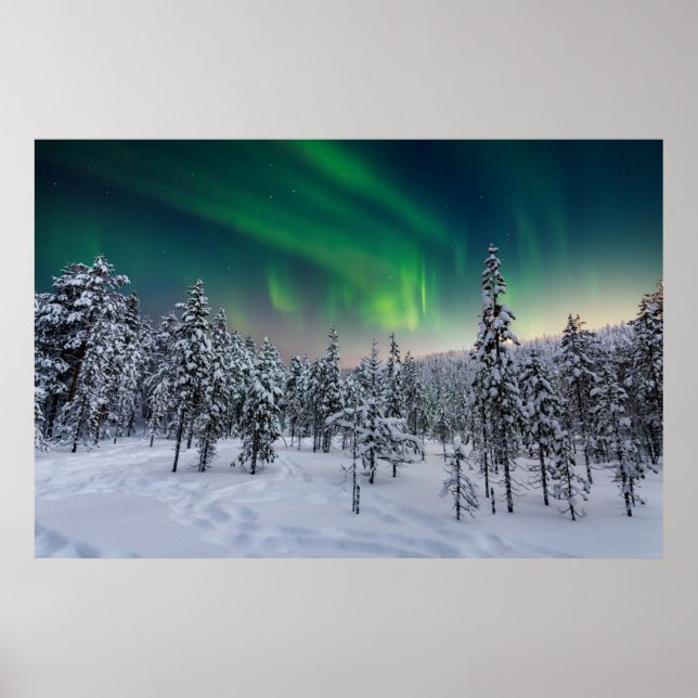 Eis und Schnee | Winterlandschaft, Finnland Poster (Vorne)