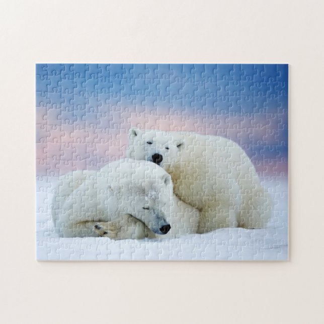 Eisbaeren-Spiel-Puzzle (Horizontal)