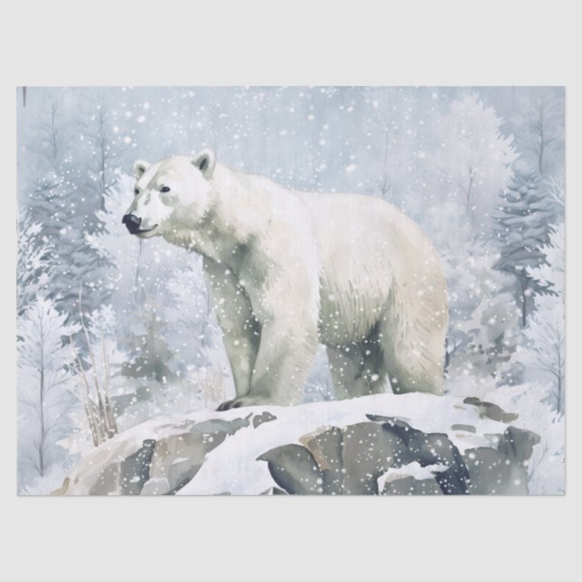 Eisbär-Aquarell Seidenpapier (Vorderseite)