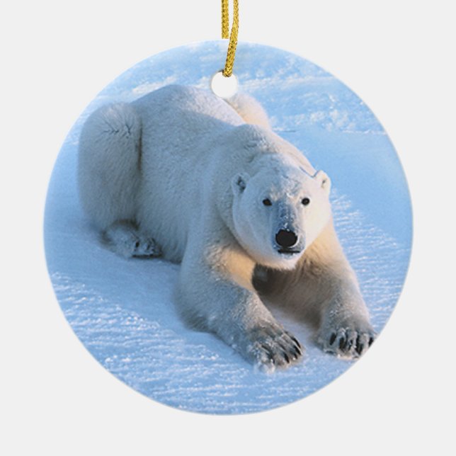 Eisbär-Blau Keramik Ornament (Vorne)