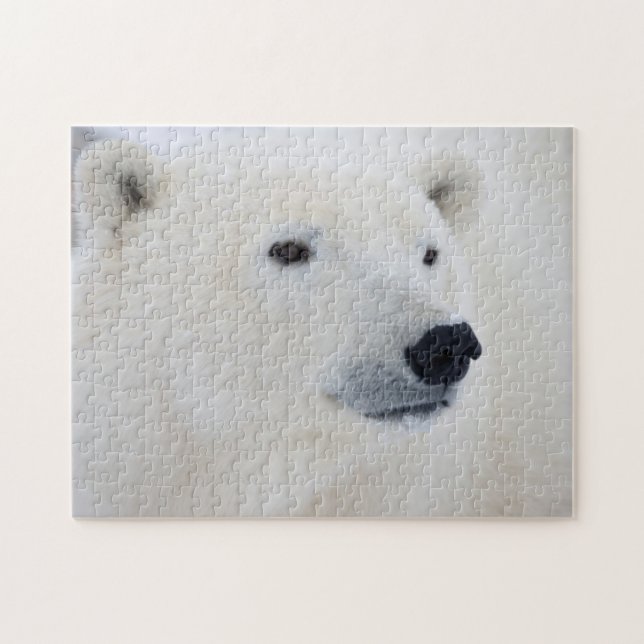 Eisbär Churchill (Horizontal)
