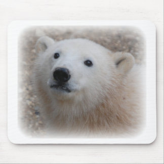 Eisbär CUB Mousepad