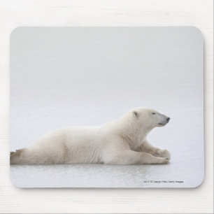 Eisbär, der auf einen See des Eises legt Mousepad