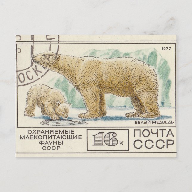 Eisbär der sowjetischen Briefmarke Postkarte (Vorderseite)