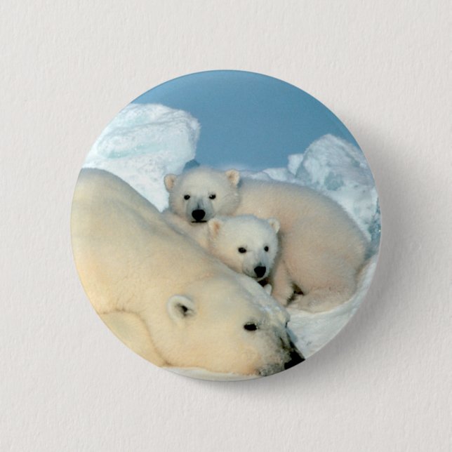 Eisbär-Familie Button (Vorderseite)