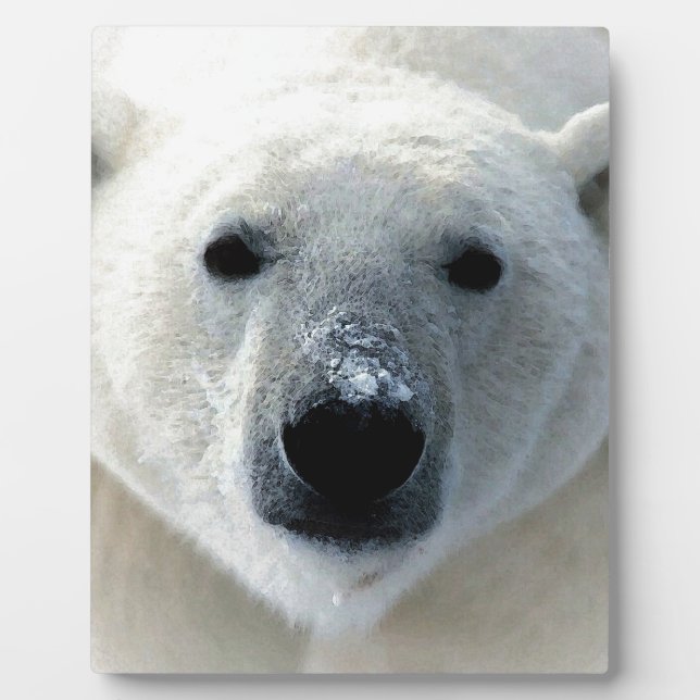 Eisbär Fotoplatte (Vorderseite)