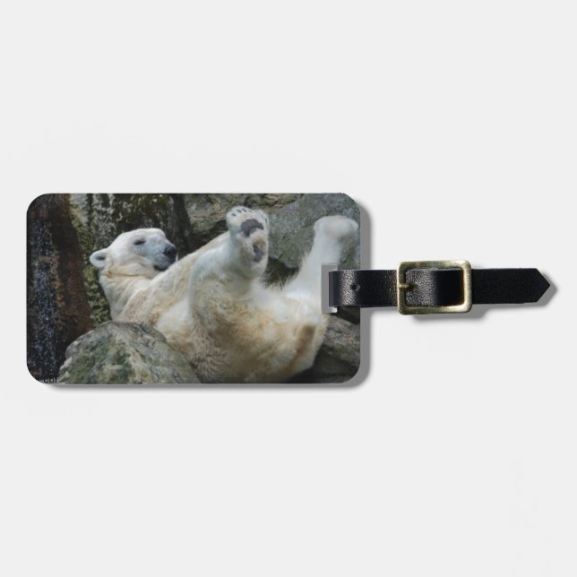 Eisbär Gepäckanhänger (Vorderseite horizontal)