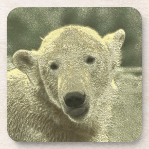 Eisbär Getränkeuntersetzer
