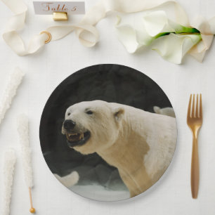 Eisbär-Grinsen Pappteller
