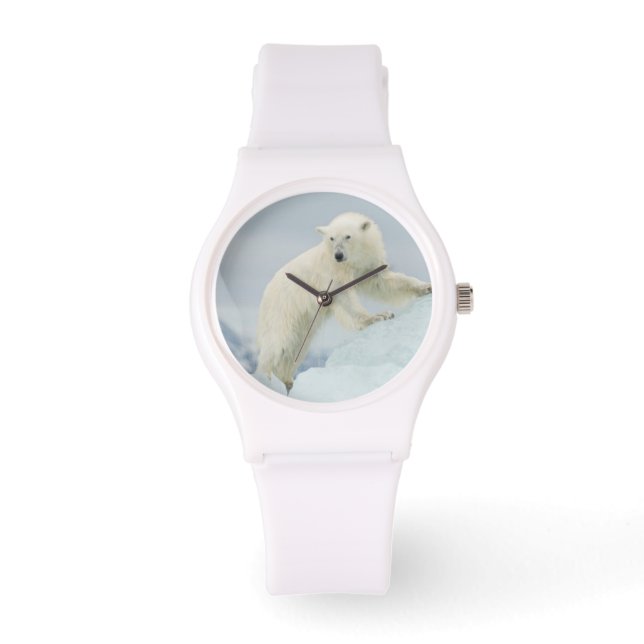 Eisbär im Sommer Armbanduhr (Vorderseite)