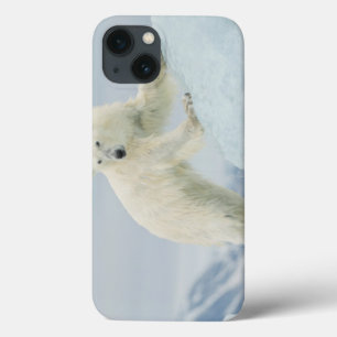 Eisbär im Sommer Case-Mate iPhone Hülle