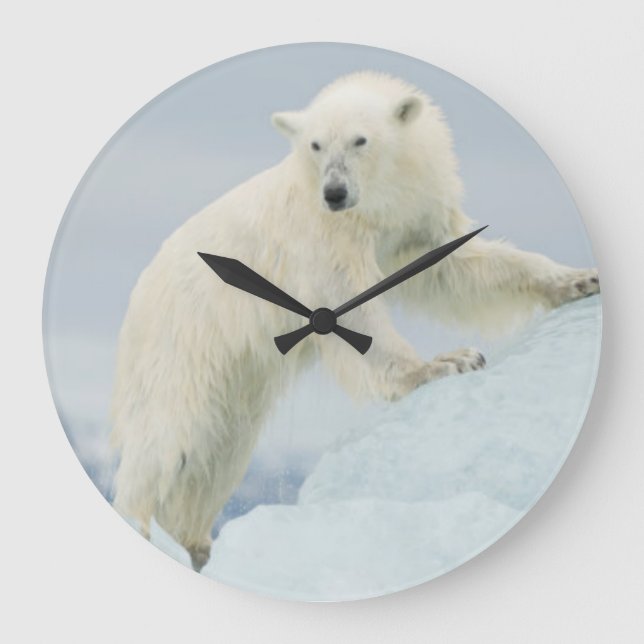 Eisbär im Sommer Große Wanduhr (Vorderseite)