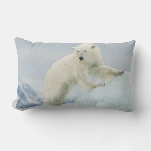 Eisbär im Sommer Lendenkissen (Vorderseite)