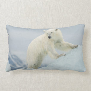 Eisbär im Sommer Lendenkissen