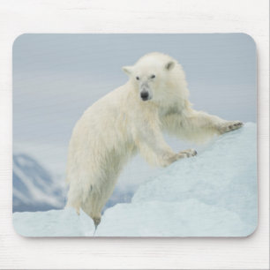 Eisbär im Sommer Mousepad