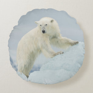 Eisbär im Sommer Rundes Kissen