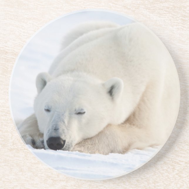 Eisbär im Winter Getränkeuntersetzer (Vorne)