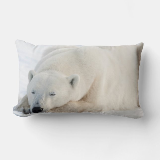 Eisbär im Winter Lendenkissen (Vorderseite)
