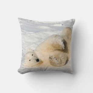 Eisbär in der Nähe der Hudson Bay Kissen