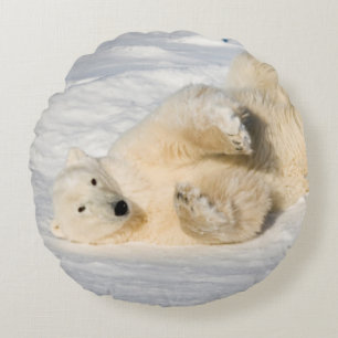 Eisbär in der Nähe der Hudson Bay Rundes Kissen