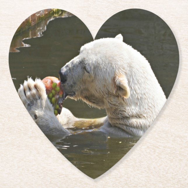 Eisbär isst Obst im Wasser Untersetzer (Vorderseite)