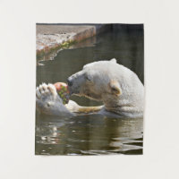 Eisbär isst Obst im Wasser