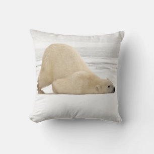 Eisbär kratzt sich auf gefrorener Tundra Kissen