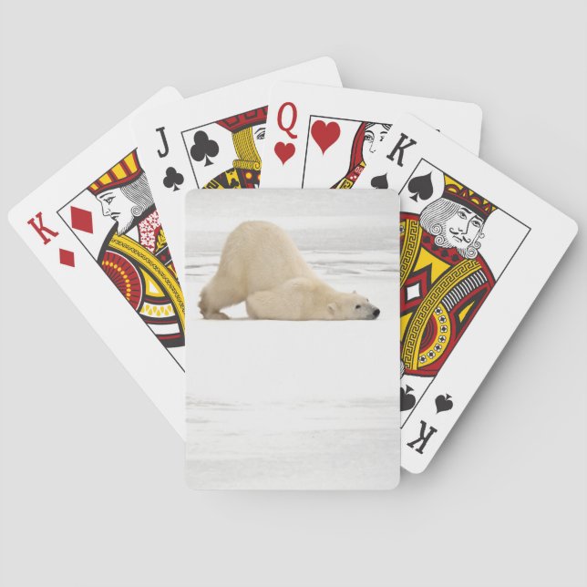 Eisbär kratzt sich auf gefrorener Tundra Spielkarten (Rückseite)