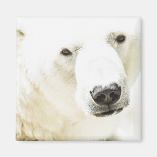 Eisbär Magnet