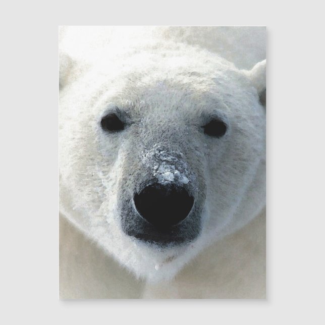 Eisbär Magnetkarte (Vorderseite)