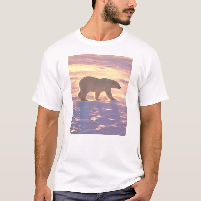 Eisbär-Morgen 3 T-Shirt (Vorderseite)