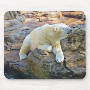 Eisbär Mousepad