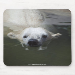 Eisbär Mousepad