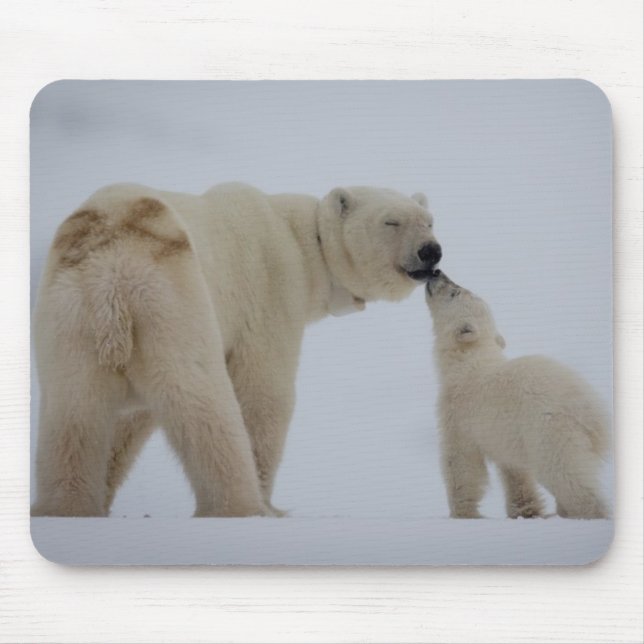Eisbär-Mutter mit CUB Mousepad (Vorne)