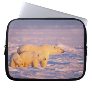 Eisbär-Mutter mit Frühlingsjungen auf dem gefroren Laptopschutzhülle