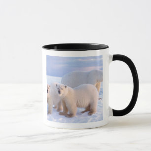 Eisbär-Mutter mit Jungen auf Packeis, Küste Tasse