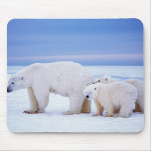 Eisbär-Mutter mit Jungen Mousepad