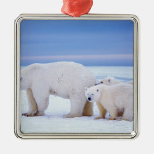 Eisbär-Mutter mit Jungen Ornament Aus Metall
