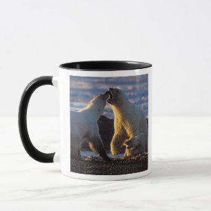 Eisbär-Mütter mit Jungtier an der Seite, 1002 Küst Tasse