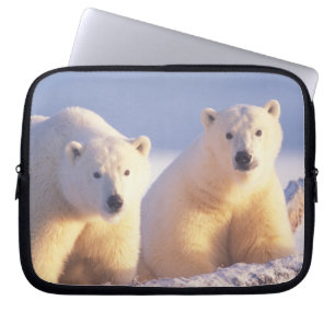 Eisbär-Mutter mit Jungtier auf Packeis Laptopschutzhülle