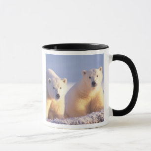 Eisbär-Mutter mit Jungtier auf Packeis Tasse