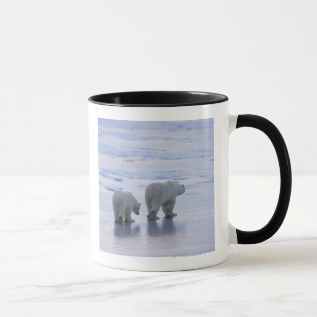 Eisbär-Mutter und CUB Tasse (Rechts)
