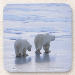 Eisbär-Mutter und CUB Untersetzer