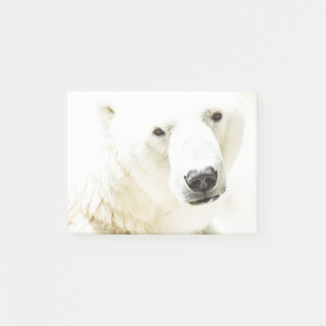Eisbär Post-it Klebezettel (Vorderseite)