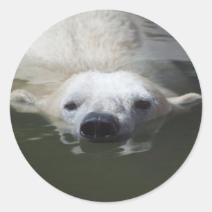 Eisbär Runder Aufkleber
