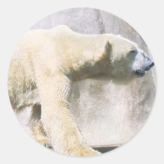Eisbär Runder Aufkleber (Vorderseite)